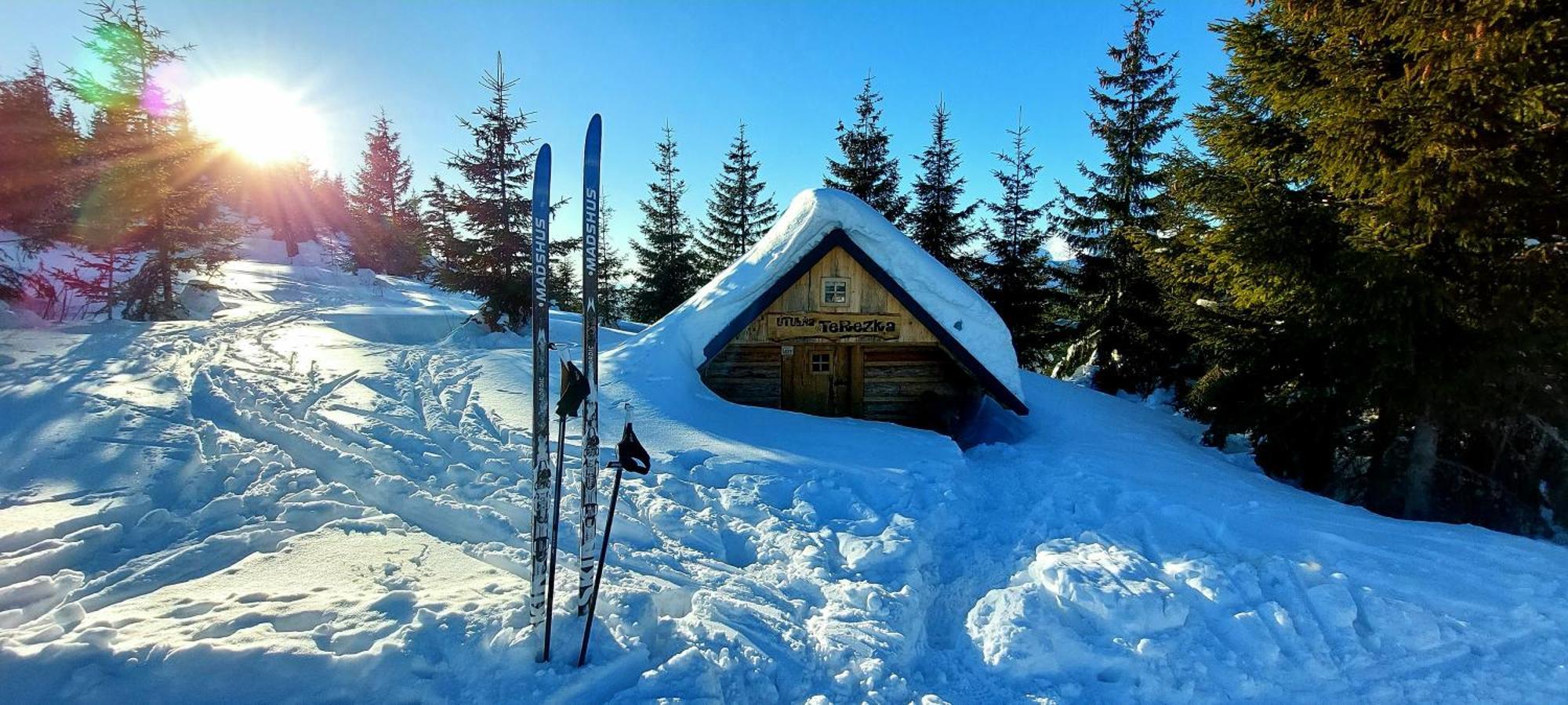 Tiny House Olivia Lejlighed Liptovský Hrádok Eksteriør billede