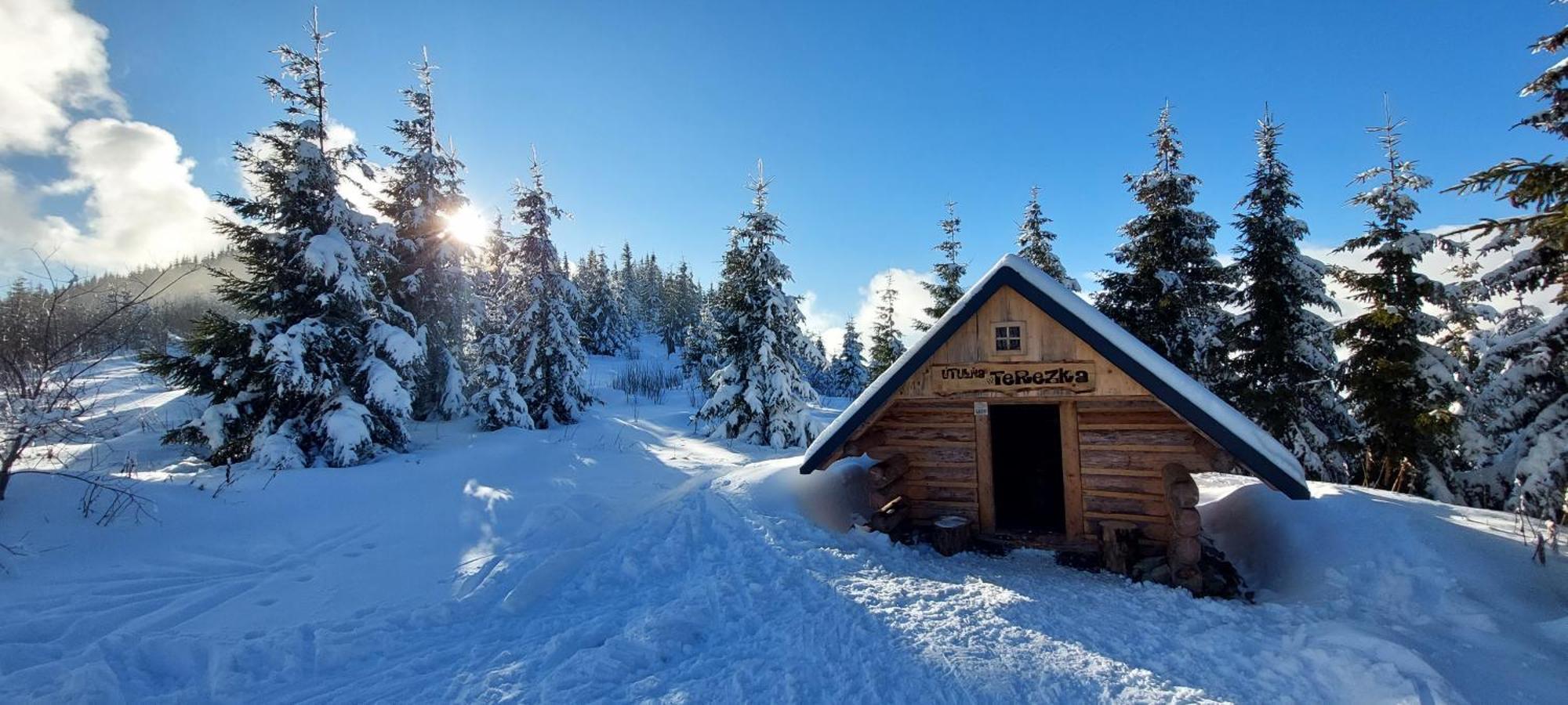 Tiny House Olivia Lejlighed Liptovský Hrádok Eksteriør billede