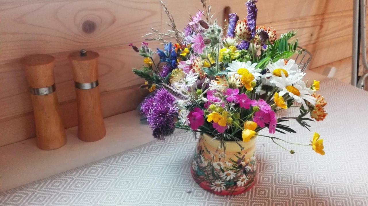 Tiny House Olivia Lejlighed Liptovský Hrádok Eksteriør billede